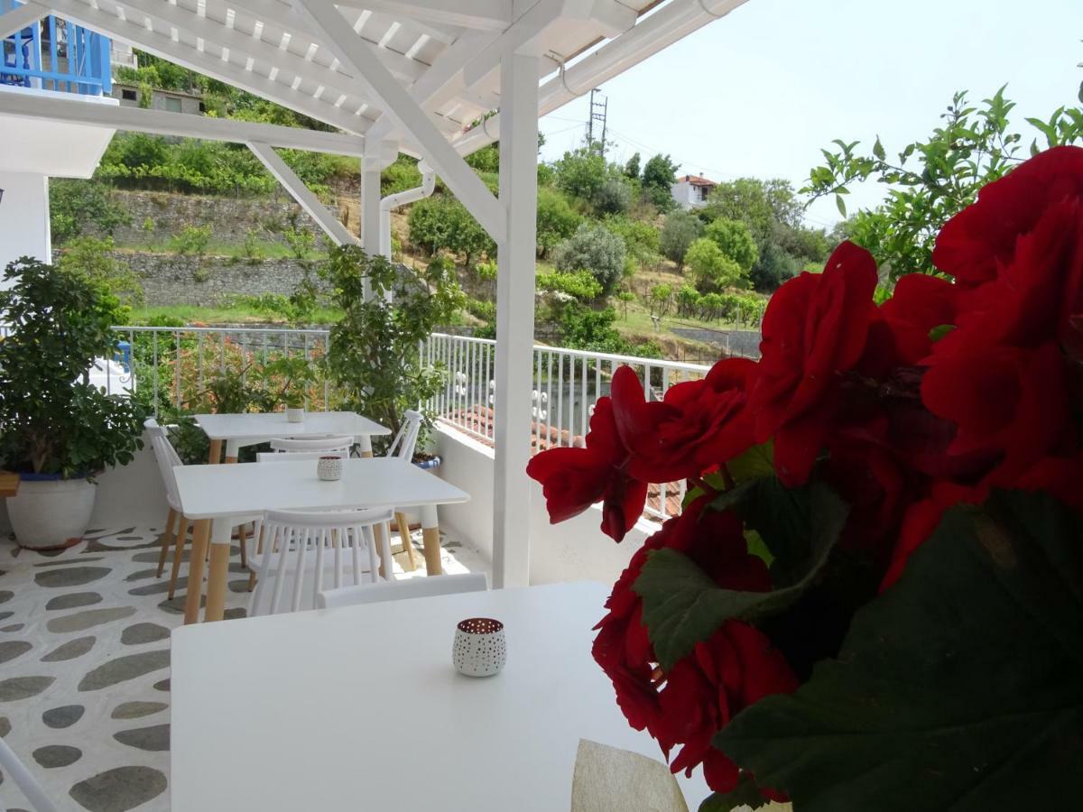 파티티리 Galini Hellenic Hospitality 아파트 호텔 외부 사진